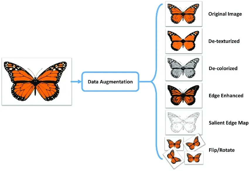 data augmentation models