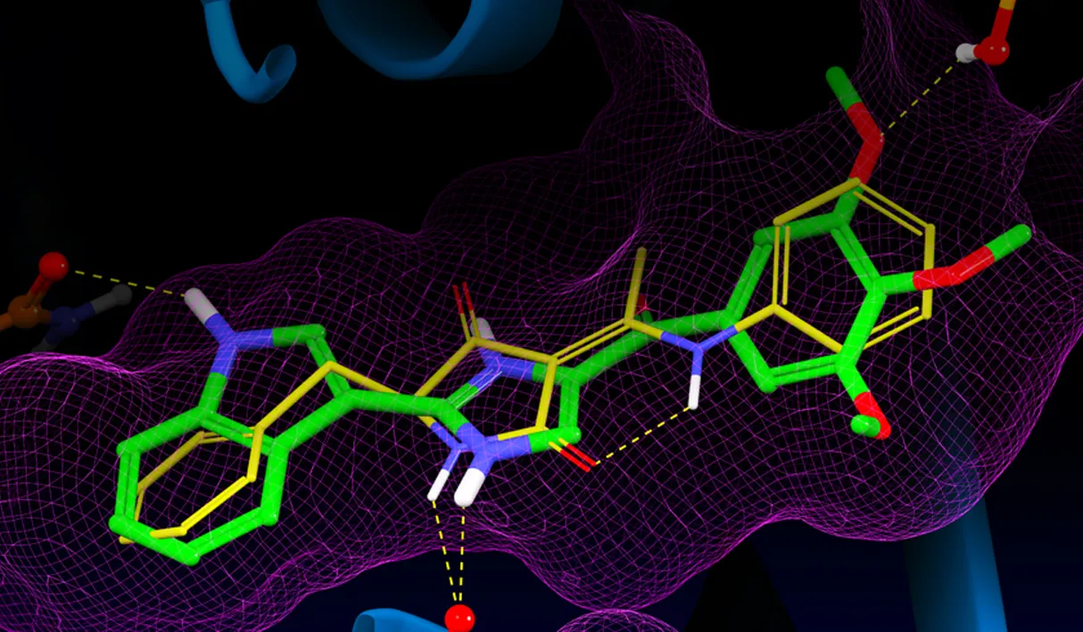 molecular docking